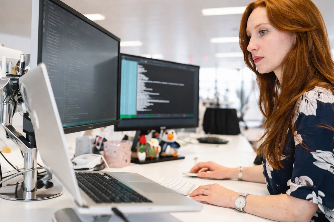 Software Development