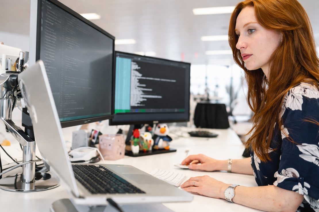 Software Development